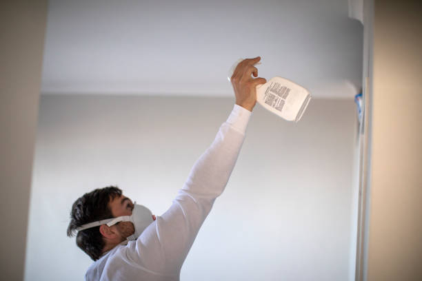 Attic Mold Removal in Grosse Pointe Farms, MI