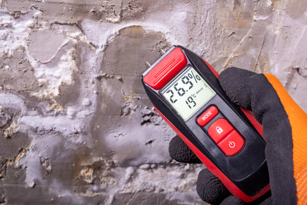 Best Mold Remediation  in Grosse Pointe Farms, MI