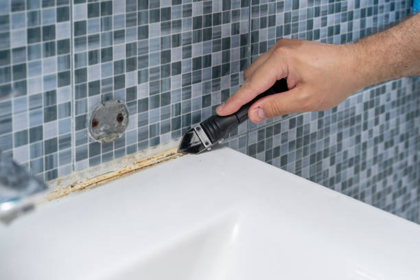Best Mold Removal Company Near Me  in Grosse Pointe Farms, MI