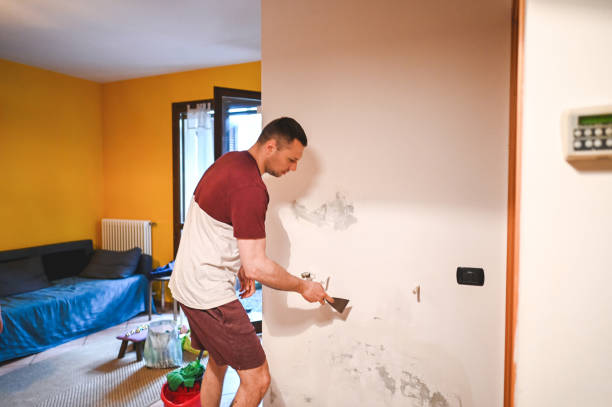 Best Toxic Mold Removal  in Grosse Pointe Farms, MI