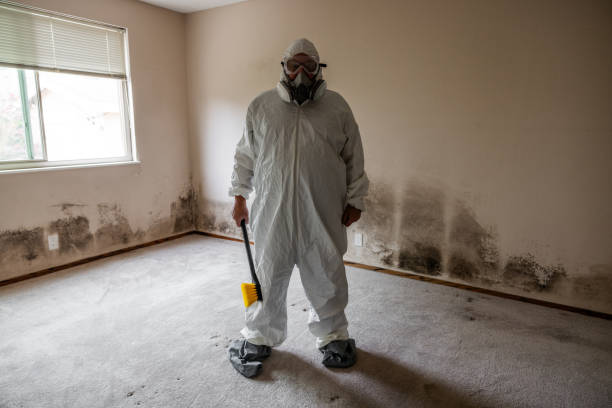Best Commercial Mold Removal  in Grosse Pointe Farms, MI