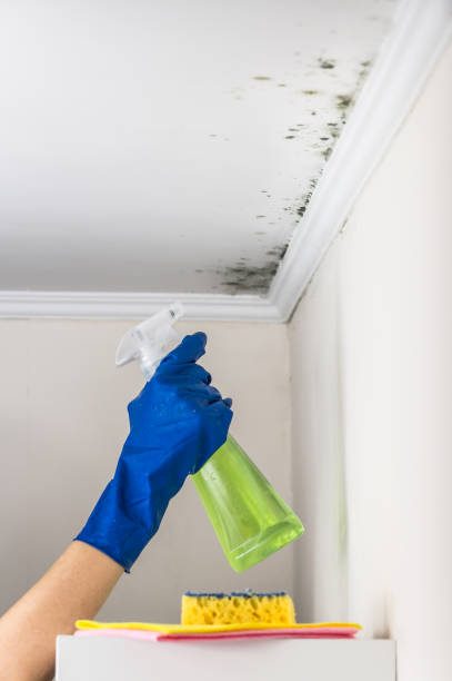 Water Damage Restoration in Grosse Pointe Farms, MI